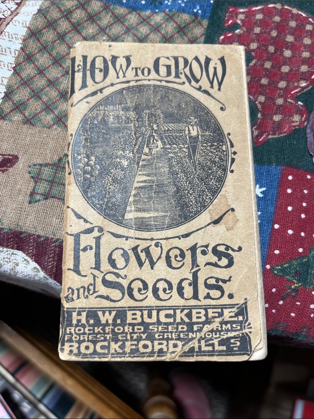 How to Grow Flowers and Seeds Vintage Booklet - H.W. Buckbee
